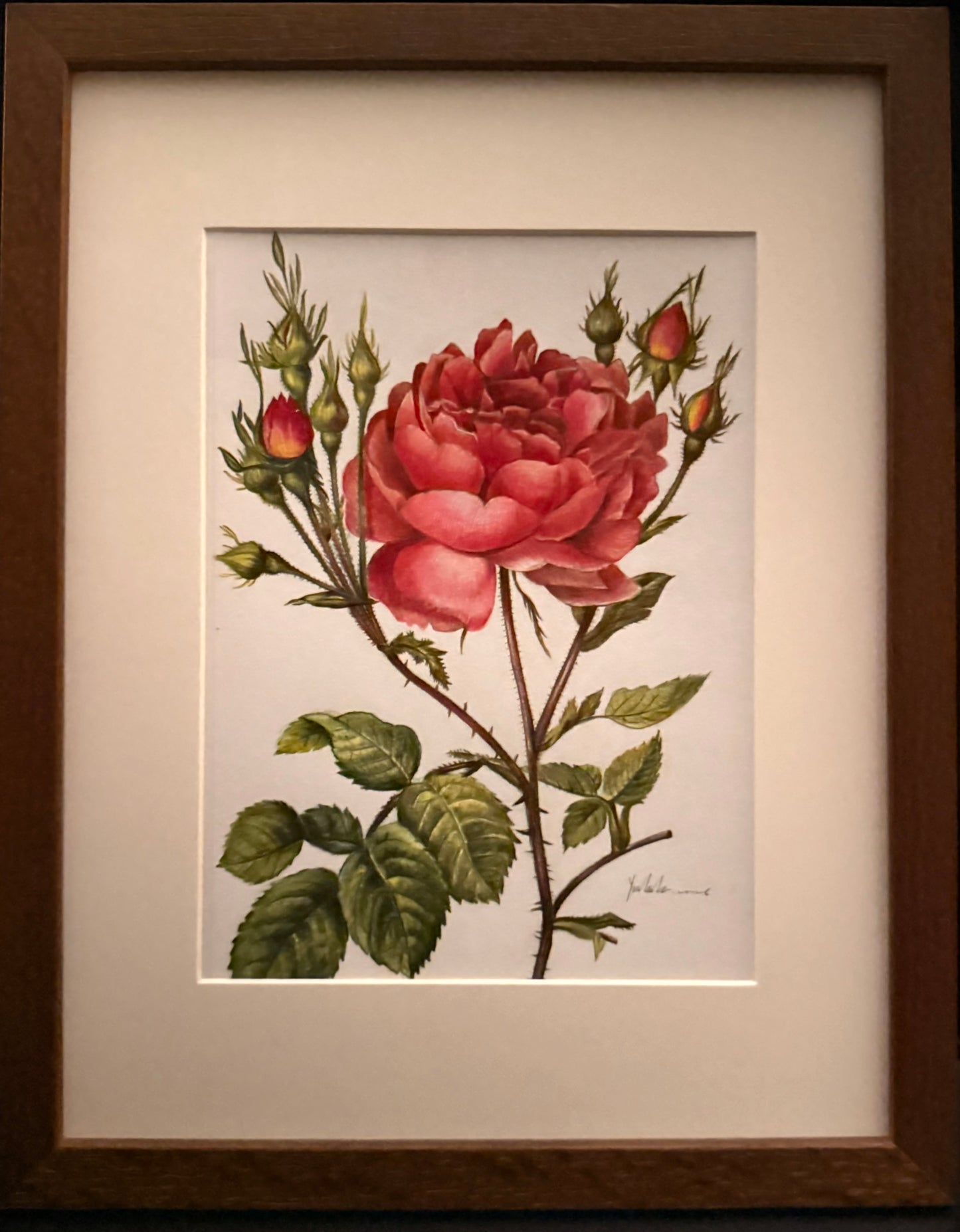 6 weeks Friday afternoon 2-4:30pm Colored pencil flower drawing class
