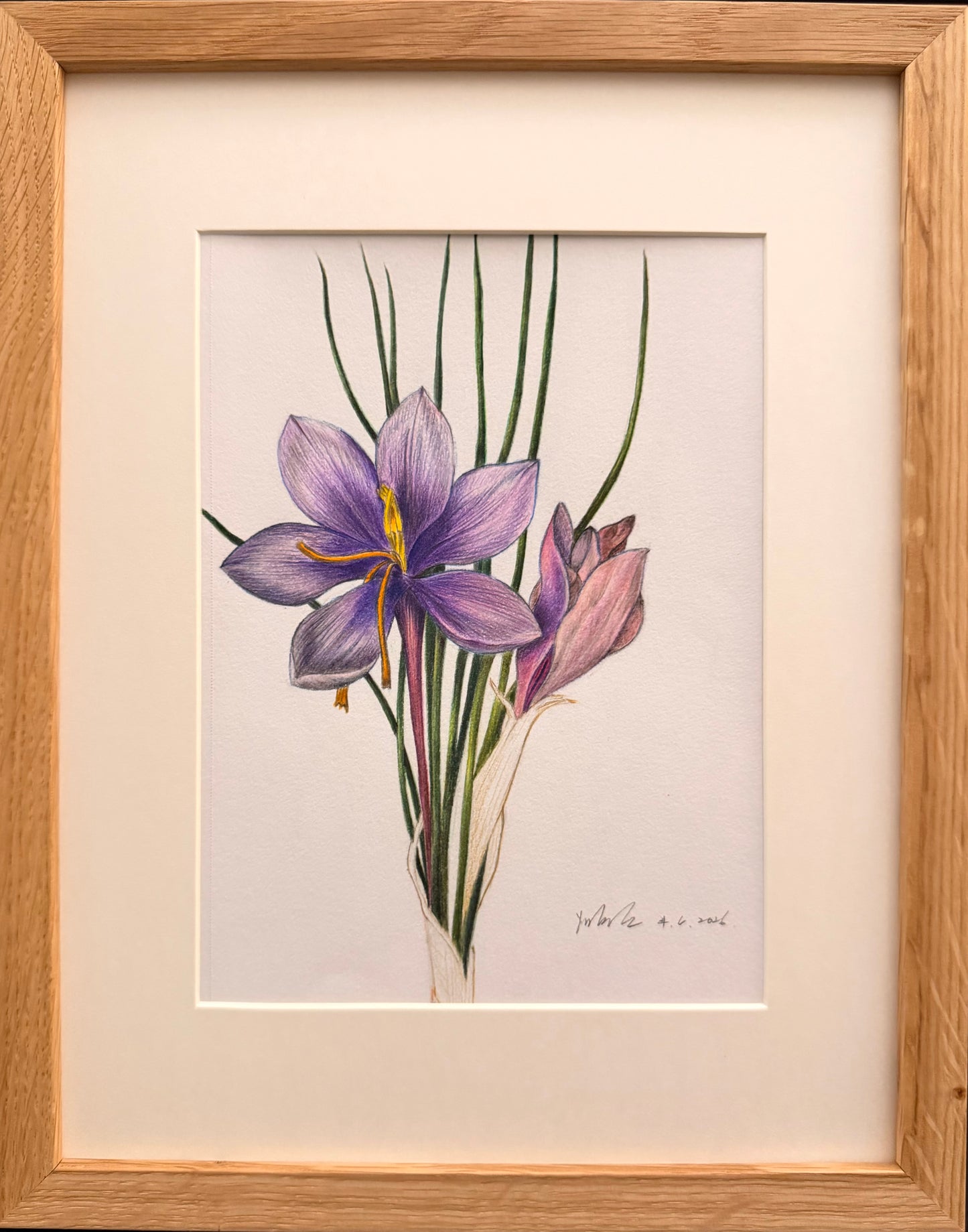 6 weeks Friday afternoon 2-4:30pm Colored pencil flower drawing class