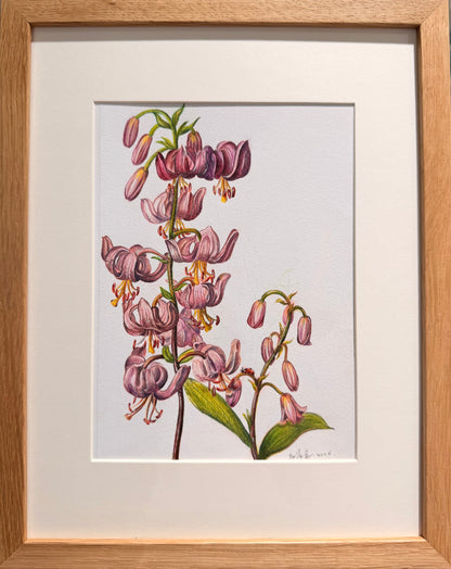 6 weeks Friday afternoon 2-4:30pm Colored pencil flower drawing class