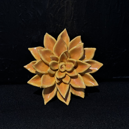 6-Week Wednesday Sculpture class 6-8:30 pm